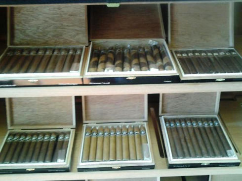 Mild Strength cigars in Davie, FL 33314