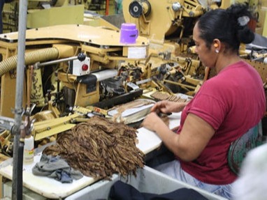 Machine made cigars in Davie, FL 33314